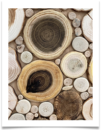 2020 11 pan stand - Carol Sparkes